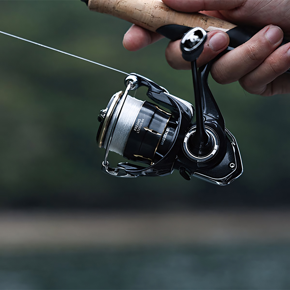 Moulinet Spinning DAIWA 2026 F - Shimano Reel Stradic avis et prix
